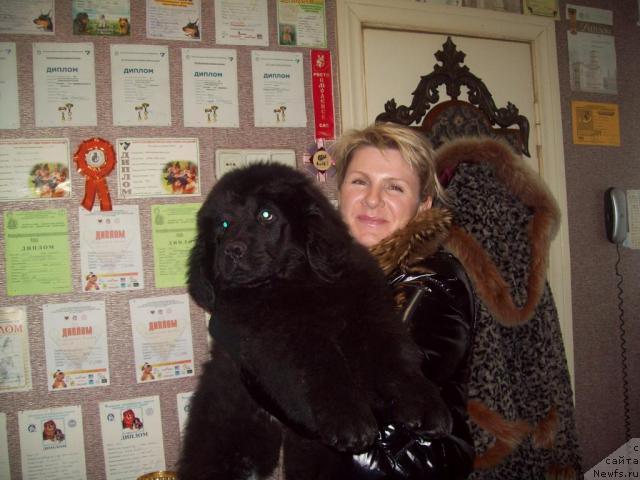 Фото: ньюфаундленд Osenniy Poceluy (Осенний Поцелуй), и Алла