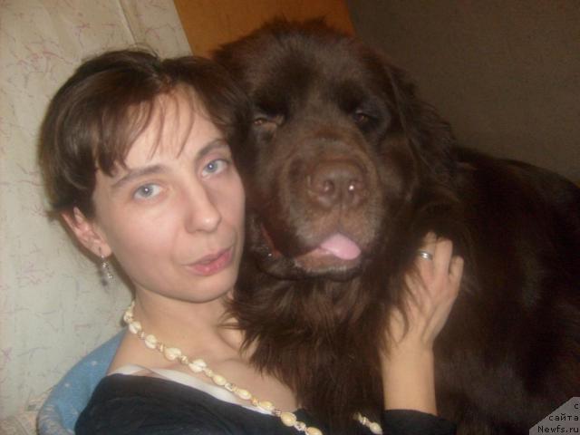 Фото: ньюфаундленд Fann'yuf Akudzyava Nazarovna (Фанньюф Акудзява Назаровна), Oksana Volkova (Оксана Волкова)