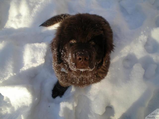 Фотография № 36894