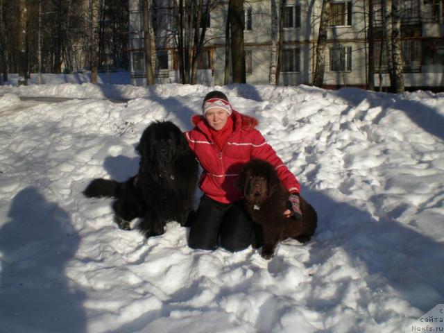 Фото: ньюфаундленд CHansi iz Zolotogo Treugol'nika (Чанси из Золотого Треугольника), Tat'yana Rozanova (Татьяна Розанова), ньюфаундленд Chernyi Sharm Angel'skaya Krasota (Черный Шарм Ангельская Красота)