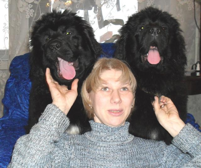 Фото: ньюфаундленд Beguschaya po Volnam Revolution a la Rus (Бегущая по Волнам Револутион а ла Рус), ньюфаундленд Beguschaya po Volnam Razve YEtogo Malo (Бегущая по Волнам Разве Этого Мало)