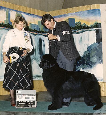 Фото: ньюфаундленд Keepsake of Pouch Cove