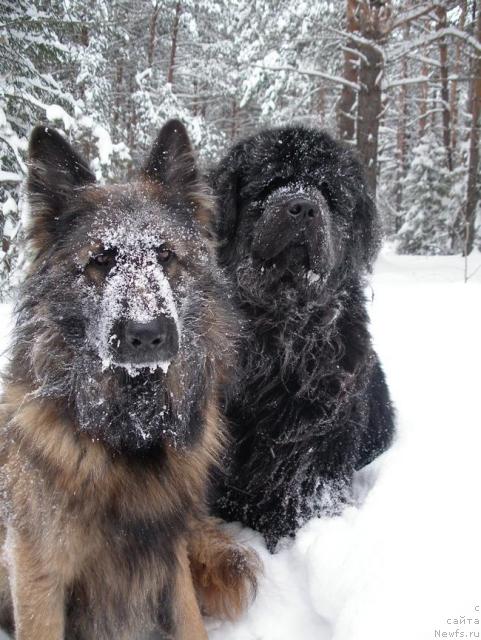 Фотография № 36969