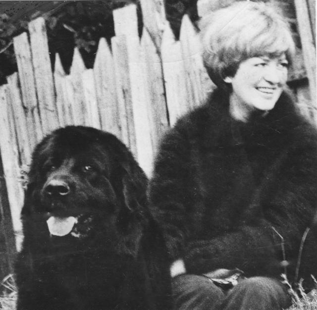 Фото: Inna Gubakina (Инна Губакина), ньюфаундленд Ayna Evi (Айна Еви)