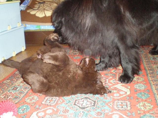 Фотография № 37007