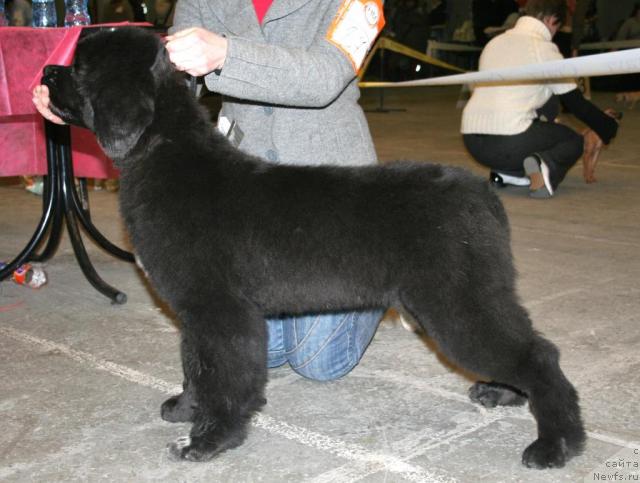 Фотография № 37017