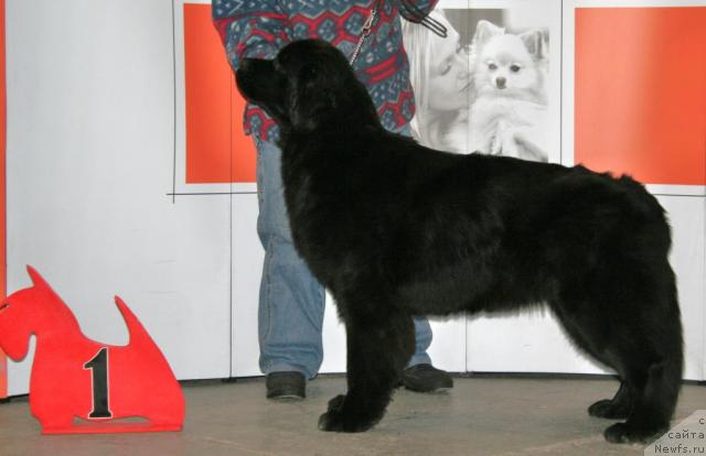 Фотография № 37018