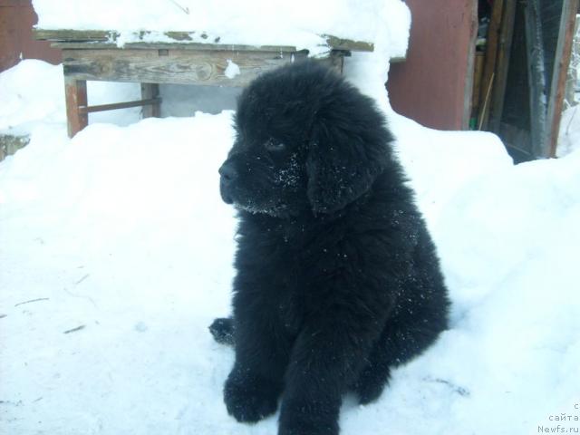 Фото: Акватория Келвин Килиманджаро