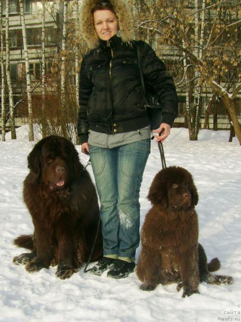 Фото: ньюфаундленд Rich-N-B'yutiful (Рич-Н-Бьютифул), с мамой и Супер Премиум Бест Белжен Ригардс