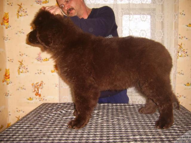 Фотография № 37256