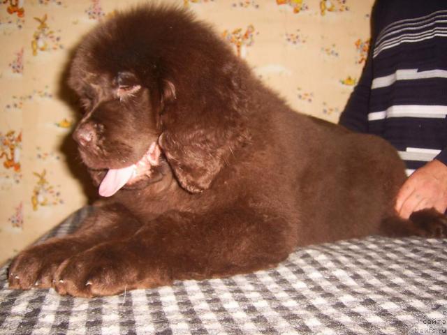 Фотография № 37262