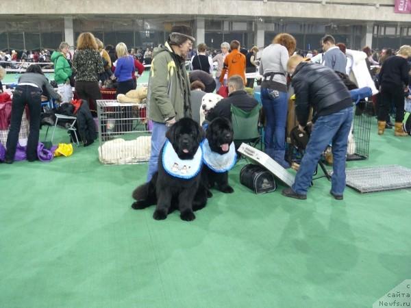 Фотография № 37285