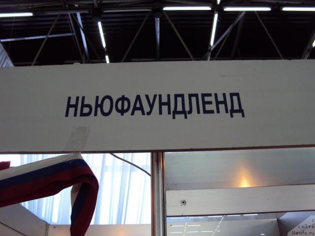 Фотография № 37298