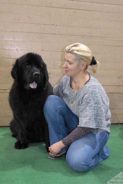 Фото: ньюфаундленд Mitrofan s Berega Dona (Митрофан с Берега Дона)