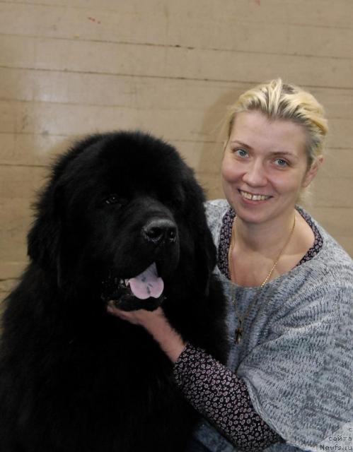 Фото: ньюфаундленд Mitrofan s Berega Dona (Митрофан с Берега Дона)