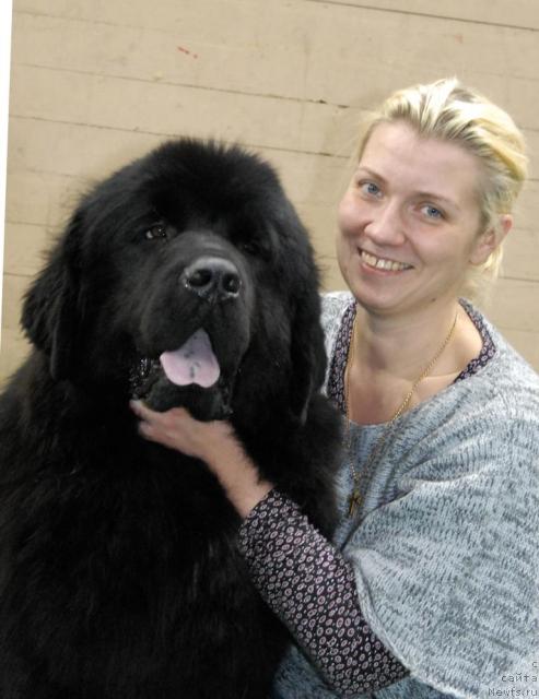 Фото: ньюфаундленд Mitrofan s Berega Dona (Митрофан с Берега Дона)