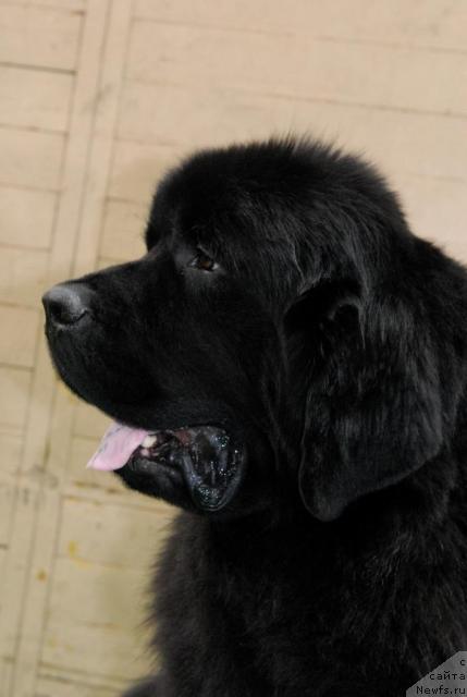 Фотография № 37358