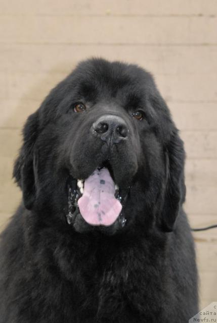 Фотография № 37360