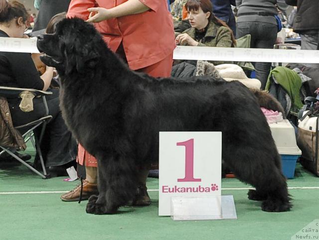 Фотография № 37362