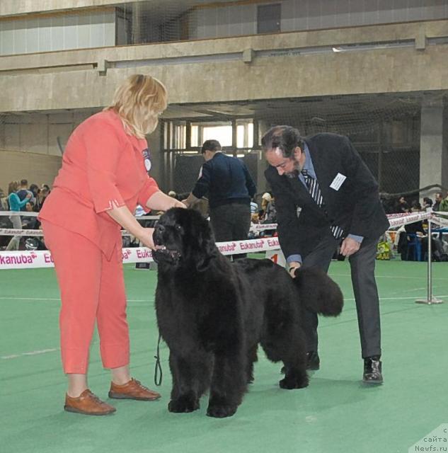 Фотография № 37364