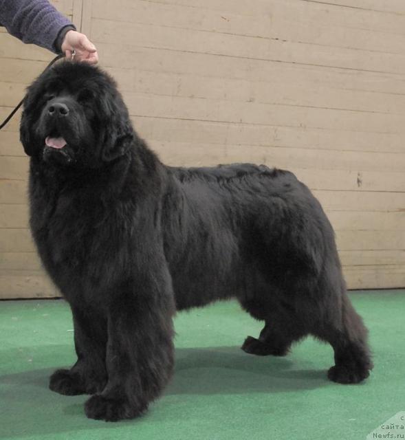 Фотография № 37371