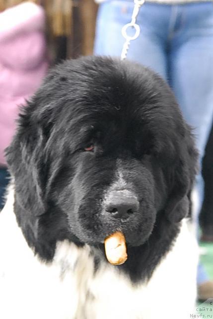 Фотография № 37375