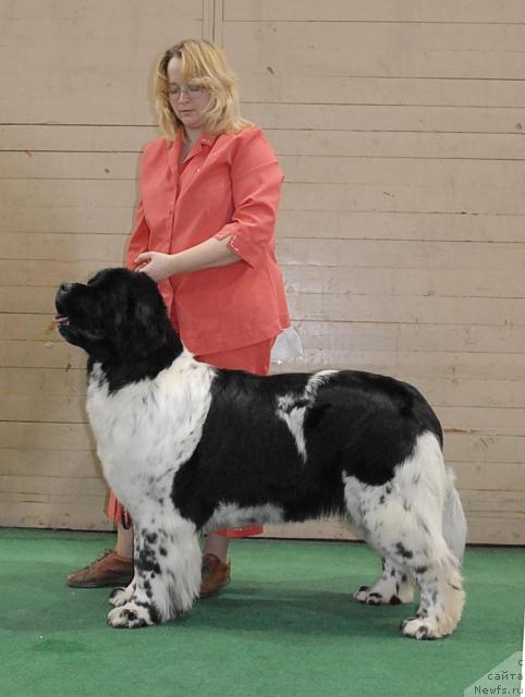 Фотография № 37377