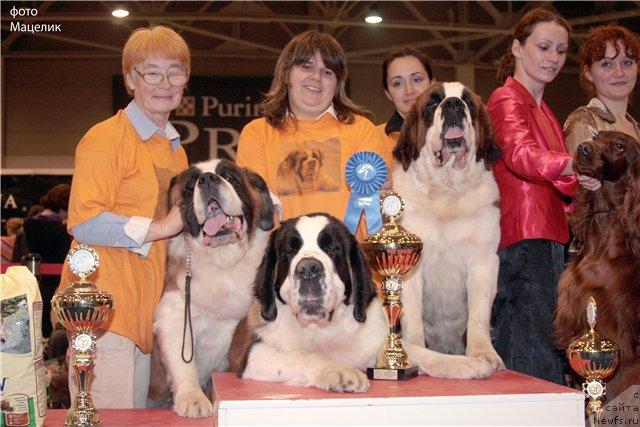 Фото: Natal'ya Ozeryanskaya (Наталья Озерянская)
