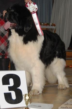 Фотография № 37439