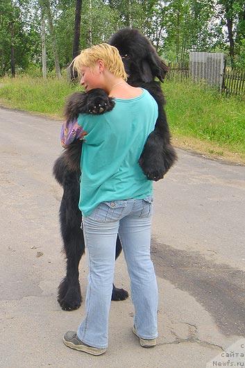 Фотография № 375