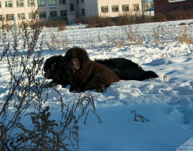 Фотография № 37535