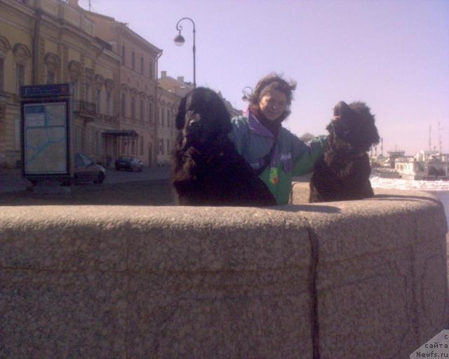 Фото: ньюфаундленд Ai Love Rich (Ай Лав Рич), [f20682], Anna Kovalyova (Анна Ковалёва)