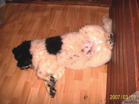 Фотография № 3758