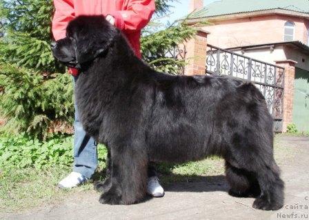 Фотография № 3762