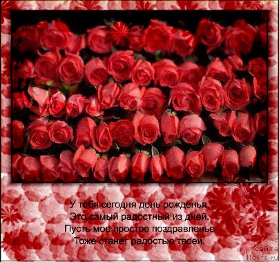 Фотография № 37656