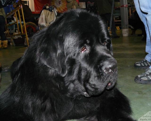 Фотография № 37679