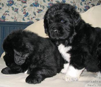 Фотография № 37711