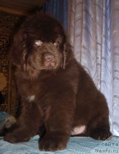 Фотография № 37751