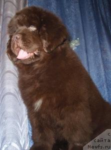 Фотография № 37752