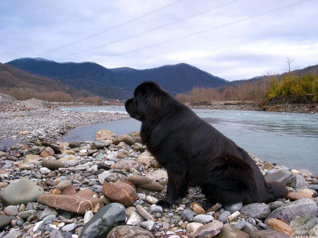 Фотография № 37753