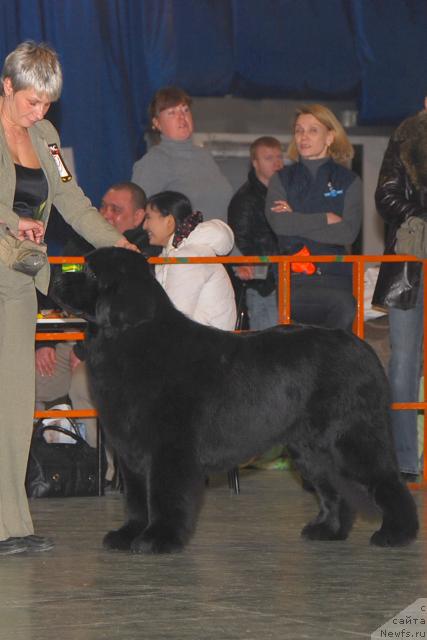 Фотография № 37814