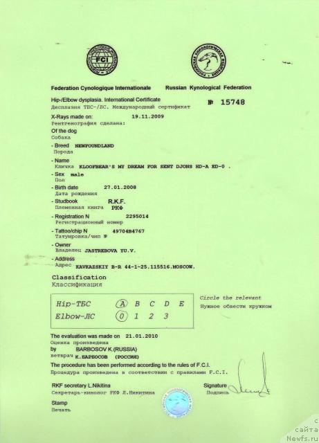 Фото: ньюфаундленд Kloofbears My Dream for Sent Djons