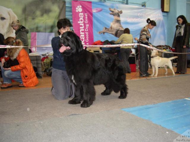 Фотография № 38005