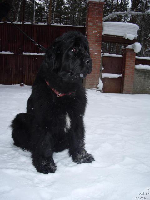 Фотография № 38007