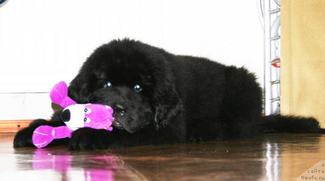 Фотография № 38022