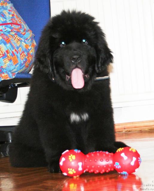 Фотография № 38024