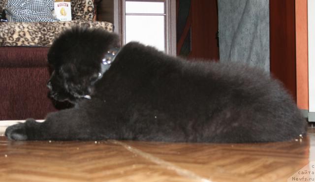 Фотография № 38025