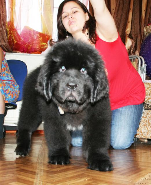 Фотография № 38026