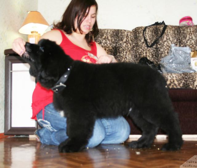 Фотография № 38027