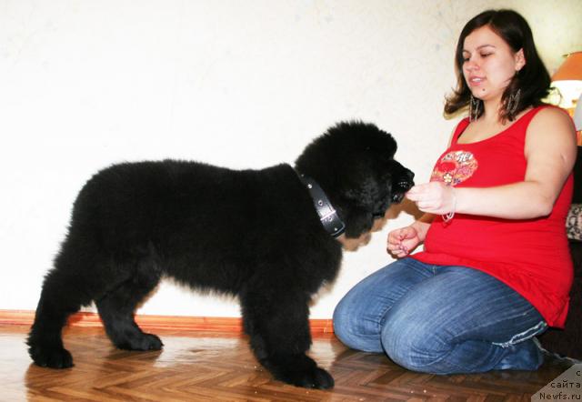 Фотография № 38028